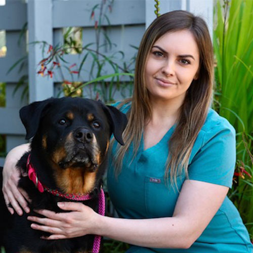 Julia, veterinary staff member at Cupertino Animal Hospital in Cupertino, CA
