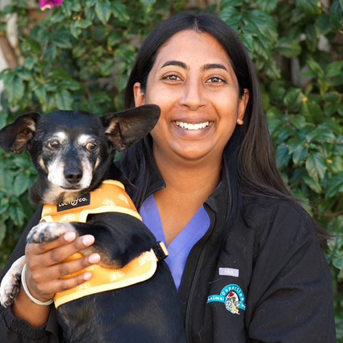 Shreya, veterinary team member at Cupertino Animal Hospital
