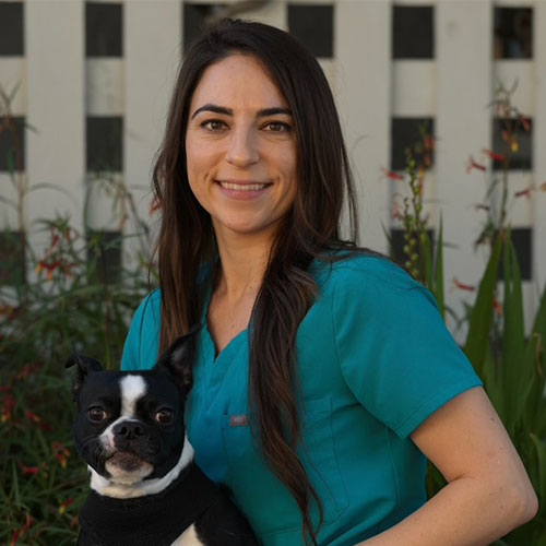Tara, veterinary team member at Cupertino Animal Hospital
