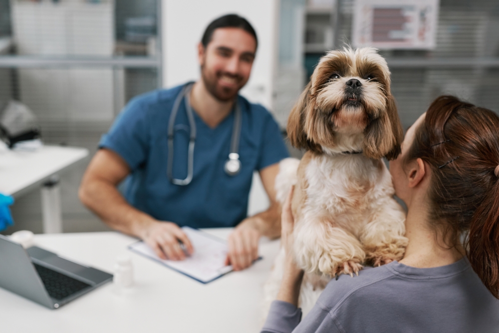 Fluffy dog standing beside its owner in a modern veterinary clinic in Cupertino