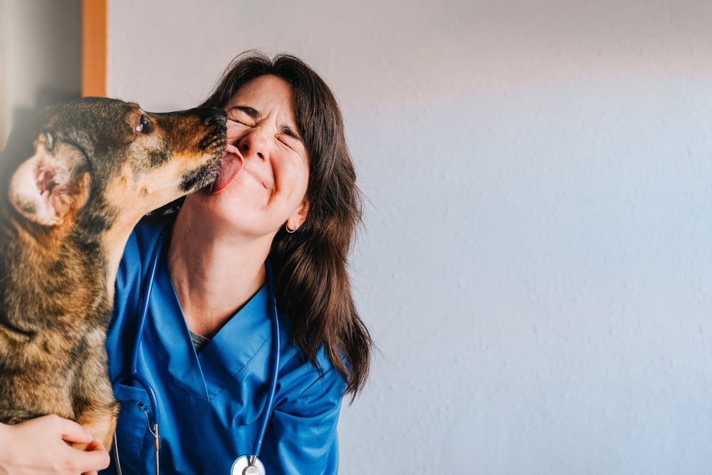 Happy stray dog licking a smiling female veterinarian's face during an exam